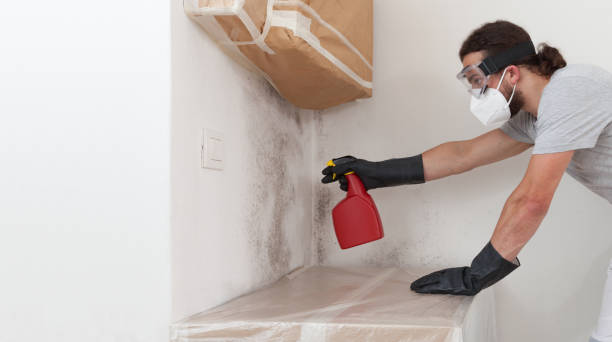 Professional Mold Removal technician working in Newberg, OR