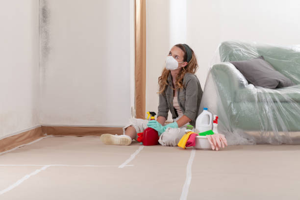 Reliable Mold Removal contractor in Newberg, OR by Mold Remediation HQ